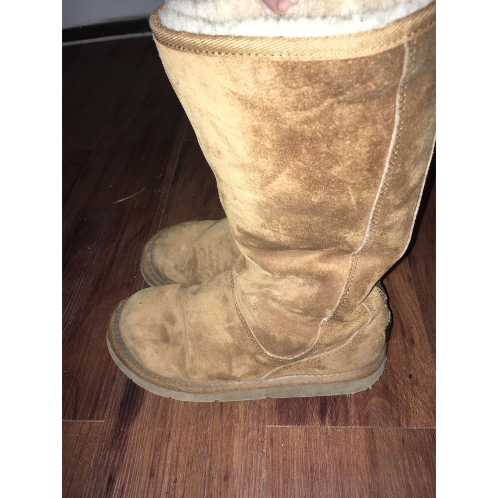 UGG Chestnut Brown Suede/Sheepskin Zipper Boots US 7 Women SN5119
